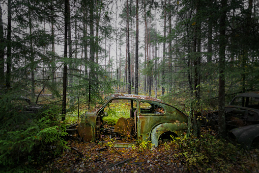 An old car slowly rusts away under a blanket of growing moss