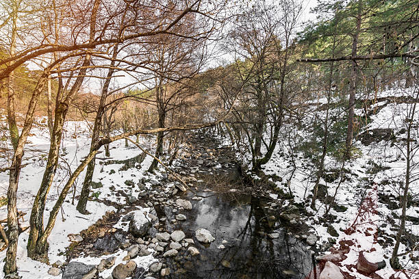 istock Stream Mist Frozen Winter Wilderness Forest 636952954