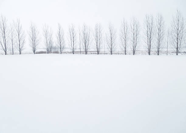 White winter nature with snowy hills and forest