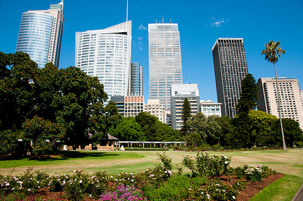 istock Botanical Garden - Sydney - Australia 636955254