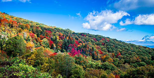 blue ridge mountains e blue ridge parkway - grandfather mountain foto e immagini stock