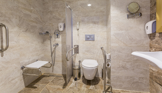 Modern Bathroom luxury Design and Toilet for people with disabilities .