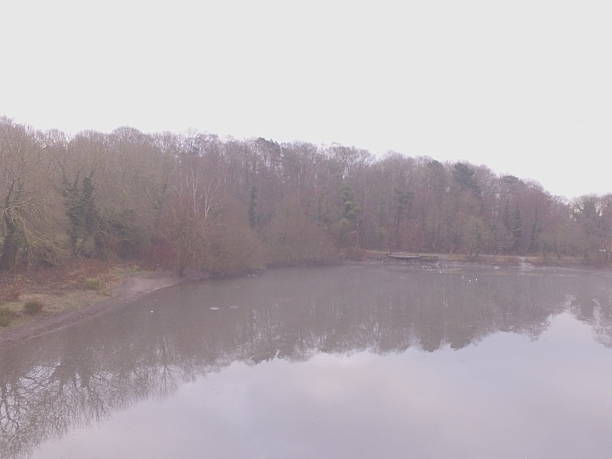 Cold Foggy morning