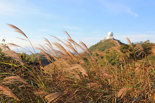 autumn landscape on top of a hill at 2016