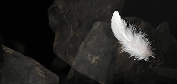 istock White Downy Feather Floating with Background Out of Focus 636961592