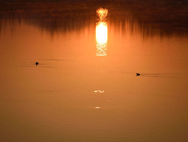 istock The river in the morning 636962606