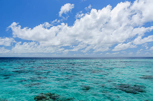 istock Tropical sea and clouds blue sky background 636964488
