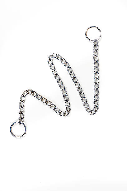 istock Silver metal choke chain for dog isolated on white background 636964984