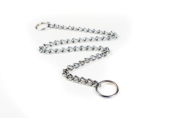 istock Silver metal choke chain for dog isolated on white background 636964992