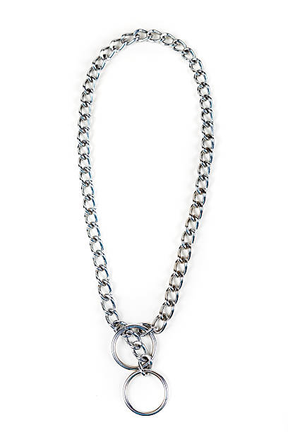 istock Silver metal choke chain for dog isolated on white background 636965000