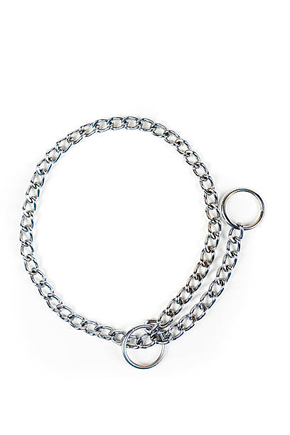 istock Silver metal choke chain for dog isolated on white background 636965014