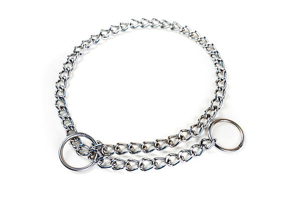 istock Silver metal choke chain for dog isolated on white background 636965022