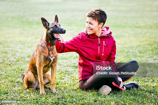 Best Friends Stock Photo - Download Image Now - Belgian Malinois, Pets, Young Adult