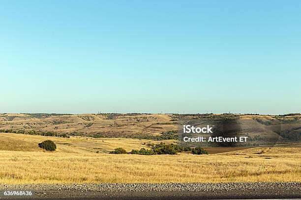 Desert Hills Covered With Scattered Trees Stock Photo - Download Image Now - Abandoned, Agricultural Field, Agriculture