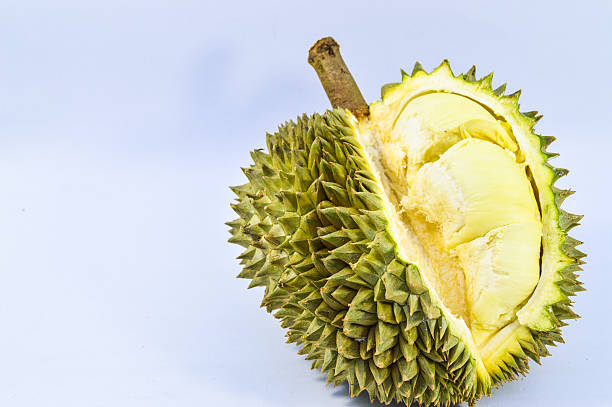 istock King of fruits, durian on white background 636971248
