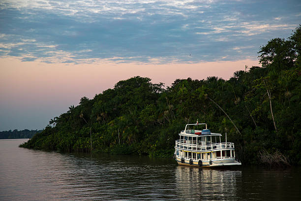 ferry boat fleuve amazon et forêt tropicale humide, état du pará, brésil - rainforest brazil amazon river amazon rainforest photos et images de collection