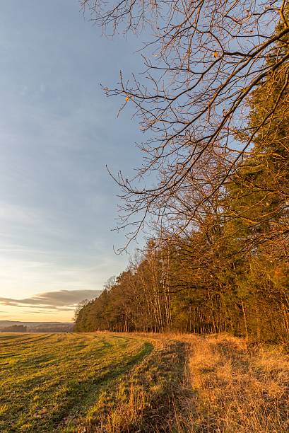istock Evening scene of autumn field next to trees 636971880