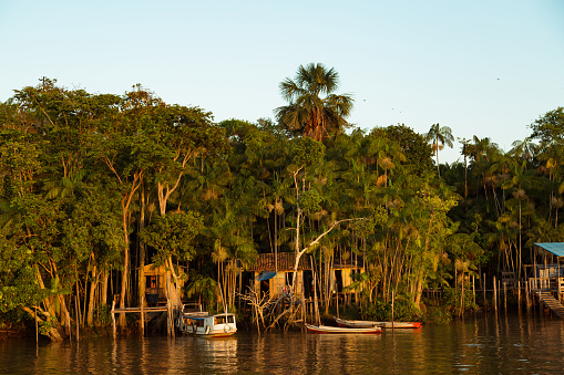 Río Amazonas y selva tropical, Estado de Pará, Brasil photo