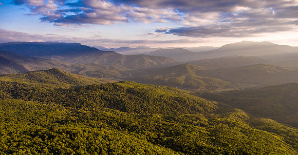 Aerial landscape. Hills covered with forests.