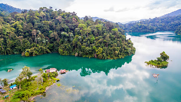 istock the biggest rainforest national park in Thailand 636978444