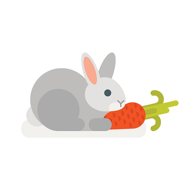вектор плоский стиль иллюстрации кролика - carrot baby carrot food backgrounds stock illustrations