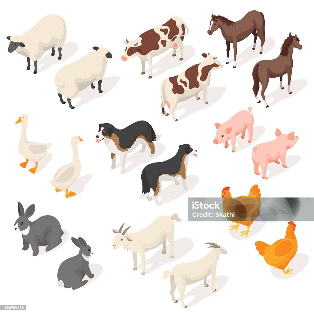 Isometric 3d vector set of farm animals Isometric 3d vector set of farm animals. Back and Front view. Icon for web. Isolated on white background. Isometric Projection stock vector