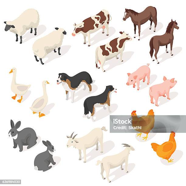 Isometric 3d Vector Set Of Farm Animals Stock Illustration - Download Image Now - Isometric Projection, Animal, Farm