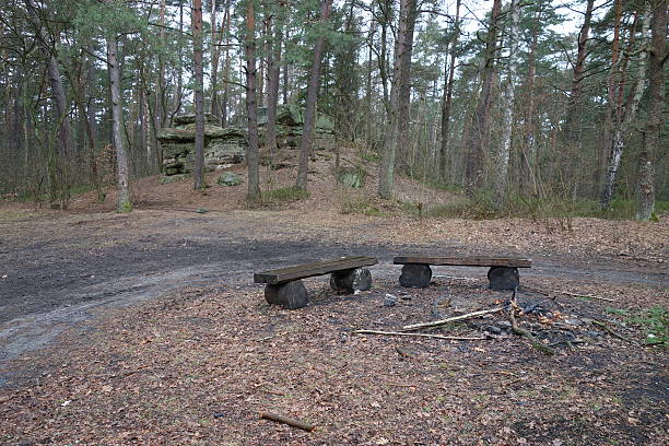 istock Lonely benches by a fireplace in the forest 636987202