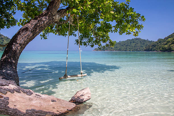 istock Swing and tree beside the shore with clear blue sky 636987530