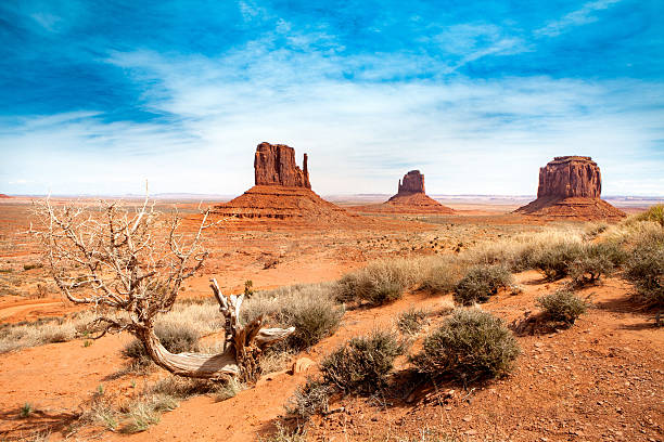 Monument Valley - United States of America Three sister at Monument Valley - USA saloon photos stock pictures, royalty-free photos & images
