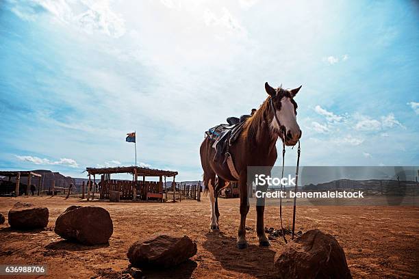 Horse At Monument Valley United States Of America Stock Photo - Download Image Now