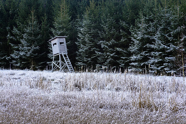 Winter Landscape, Wildlife, hunters high stand. stock photo