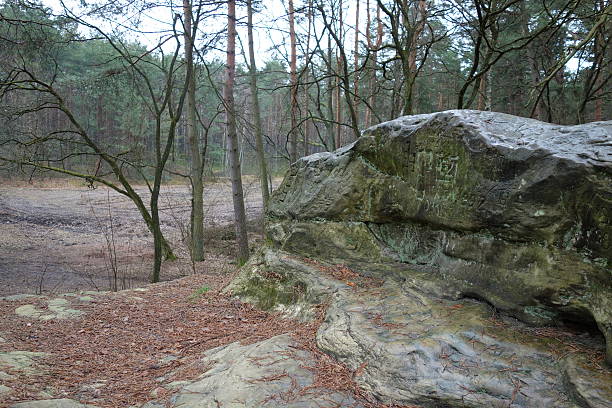 istock Old rock on a hill in the forest 636988876