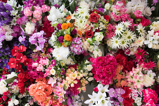 plétora multicolor de flores en la floristería - alcatraces de colores fotografías e imágenes de stock