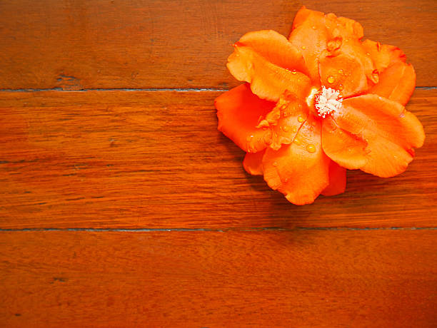 Orange flower on wooden table with copy space