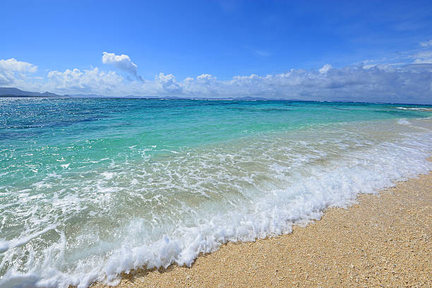 istock Beautiful beach in Okinawa 636993124