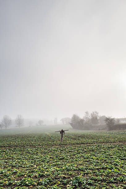 protección de cultivos. - suffolk winter england fog fotografías e imágenes de stock