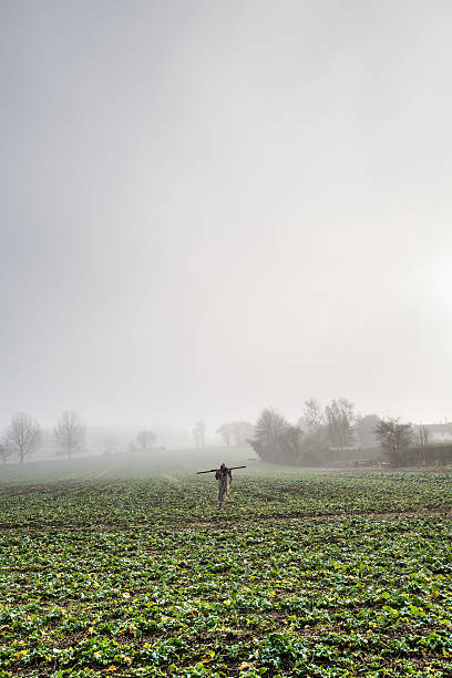 ochrona upraw. - suffolk winter england fog zdjęcia i obrazy z banku zdjęć