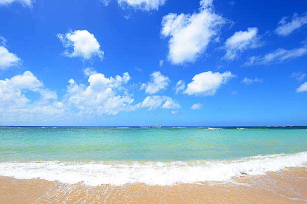 istock Beautiful beach in Okinawa 636996452