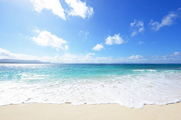 istock Beautiful beach in Okinawa 636997388