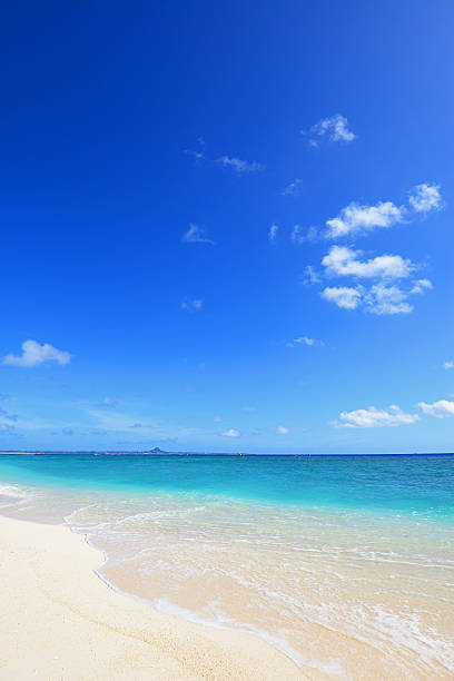 istock Beautiful beach in Okinawa 636997500