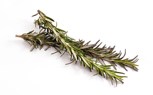 istock two branch of rosemary on a white background 636998588
