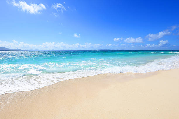 istock Beautiful beach in Okinawa 636998678