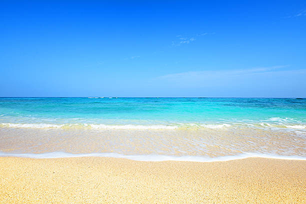 istock Beautiful beach in Okinawa 636999826