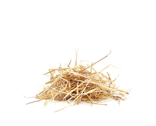 istock Straw of wheat on a white background 637001296