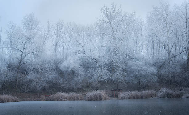 istock Winter landscape with frosted lake and plants 637001700