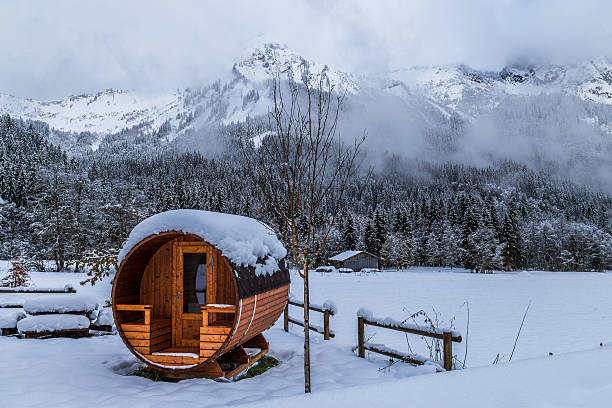 paysage enneigé  - sauna photos et images de collection
