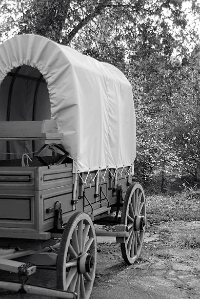 istock Covered Wagon sits at the edge of the forest 637002412