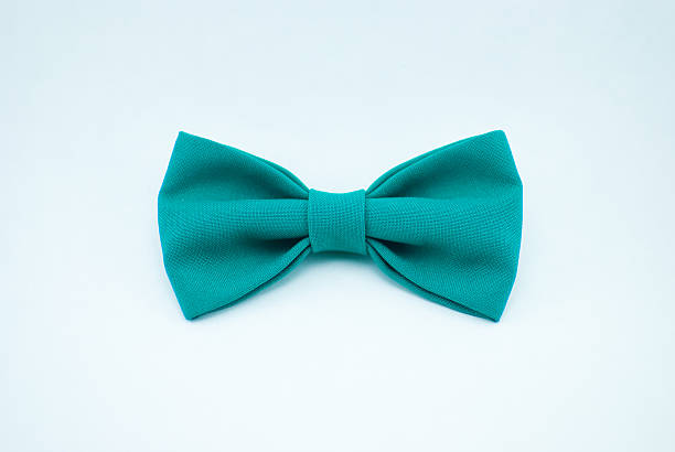 istock Classy fashionable blue bow-tie with flower pattern; isolated 637002568