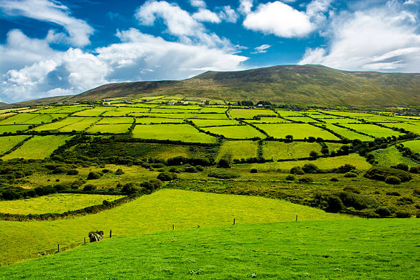 istock Rural Landscape With Pastures In Ireland 637002850